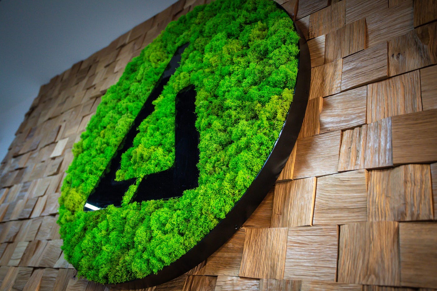 Ensuring the Lifespan of Your Indoor Moss Wall - Terra Biophilic Design