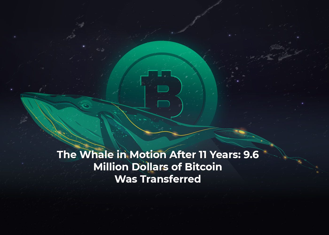 The Whale in Motion After 11 Years: 9.6 Million Dollars of Bitcoin Was  Transferred | by Armaan Khatri | Medium