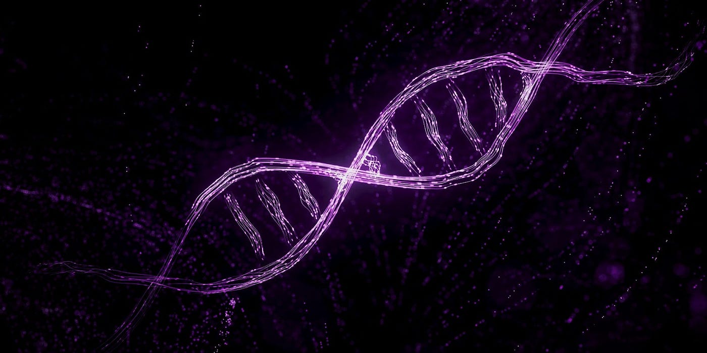 BlueYard 3. “It was the best of times, it was the… | by BlueYard Capital |  Medium