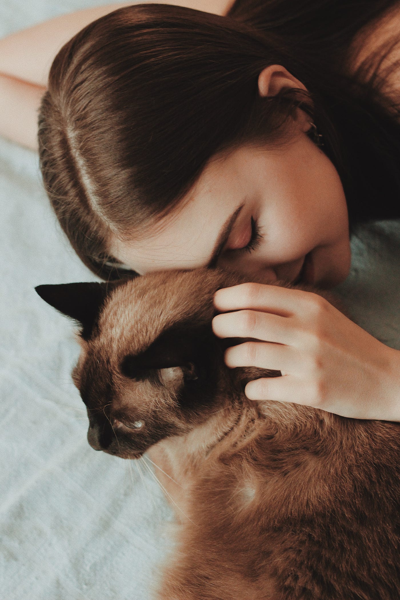Why Do Cats Headbutt: Surprising Reasons Explained Clearly