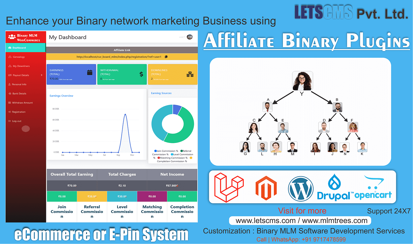 Binary MLM: Affordable Affiliate Marketing Software | Binary Affiliate  Programs For Top Payouts | by Lets CMS Pvt Ltd | Medium