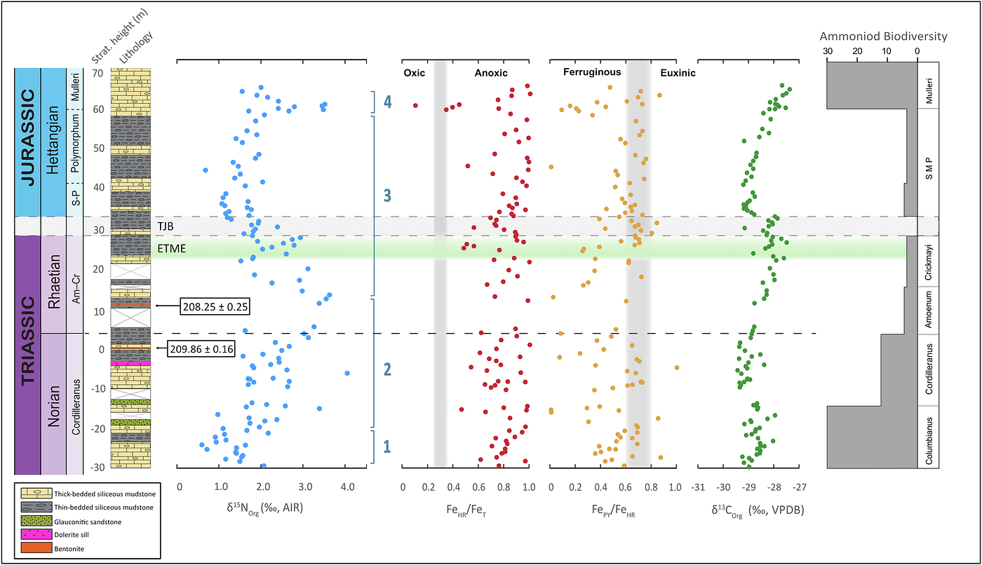 Geochemical data spanning the Norian-Rhaetian and End-Triassic Mass Extinction at Grotto Creek, Alaska, USA. Stratigraphic plots of nitrogen isotope and iron speciation proxy data from Grotto Creek displayed with the previously established biostratigraphic, geochronologic, and lithologic framework along with the generic ammonoid biodiversity curve from eastern Panthalassa sites. Nitrogen isotopes are depicted in blue, FeHR/FeT in red, FePY/FeHR in yellow, and organic carbon isotopes in green. Thresholds for Fe speciation are displayed as vertical dashed lines in both the FeHR/FeT (oxic <0.38 <anoxic) and FePY/FeHR (ferruginous <0.6, 0.8 <euxinic) plots. Ash bed dates are shown next to the corresponding stratigraphic height of the sampled bentonite — McCabe et al., 2026