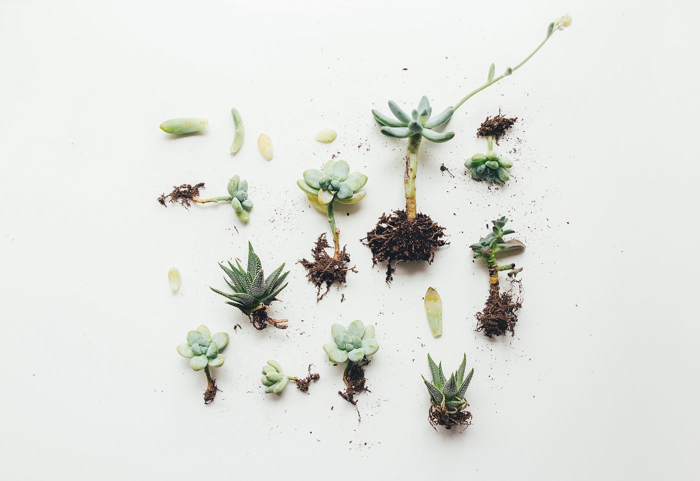 How to Use Micro-Credentials to Get Your Foot in the Door as a New Data  Scientist | by Madison Hunter | Towards Data Science