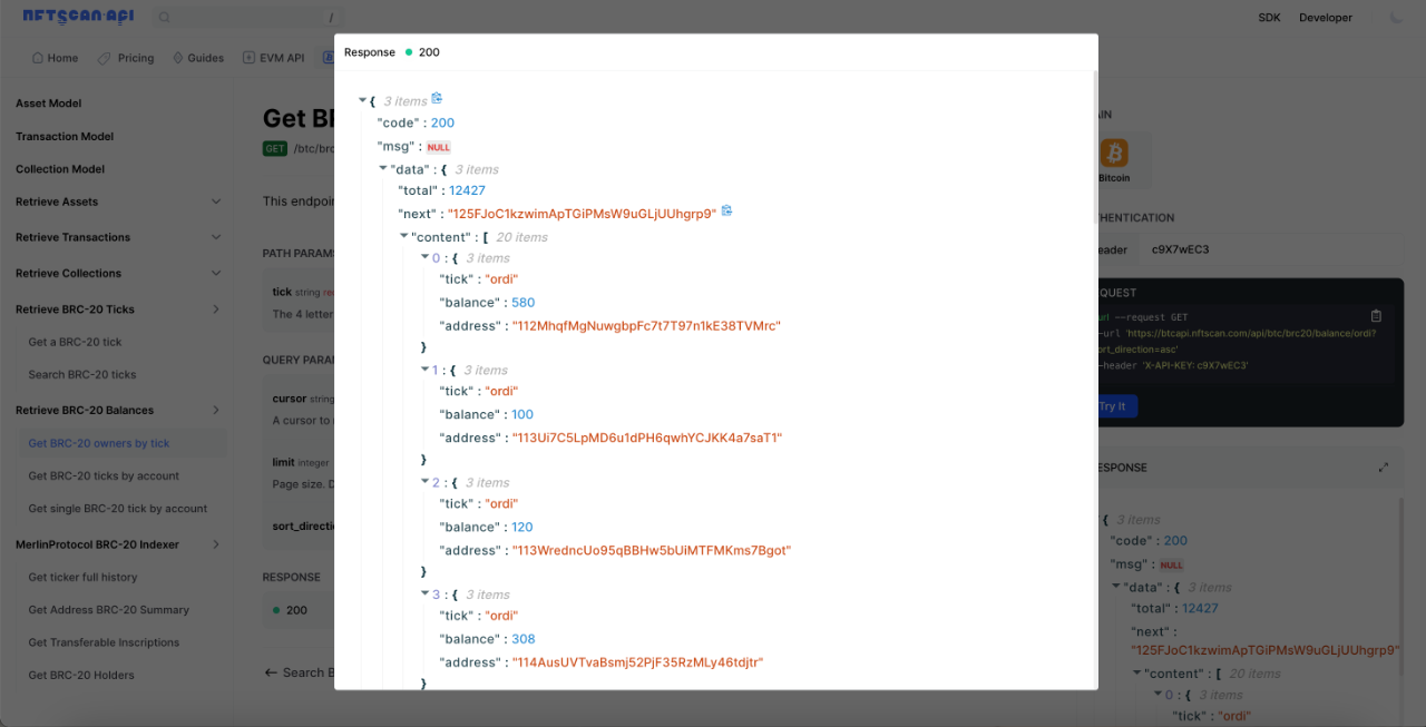 Guide: How to Develop Web3 DApps on Bitcoin Network Using NFTScan NFT API |  by NFTScan | NFTScan | Medium