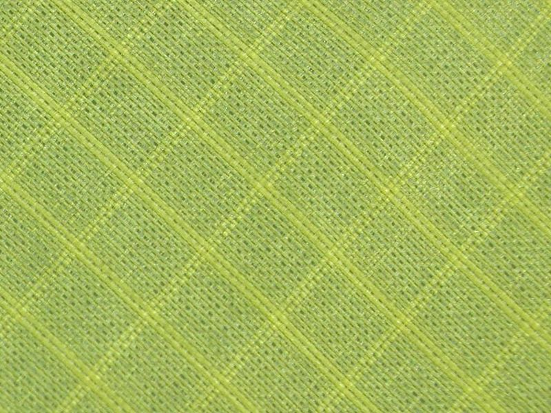 70D Nylon TPU Ripstop Fabric
