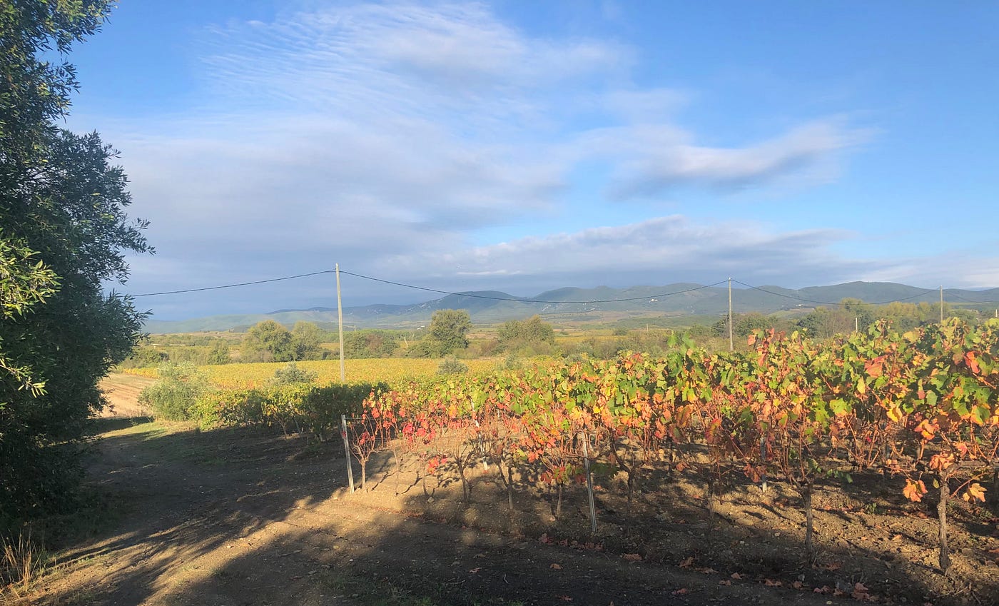 Languedoc, France