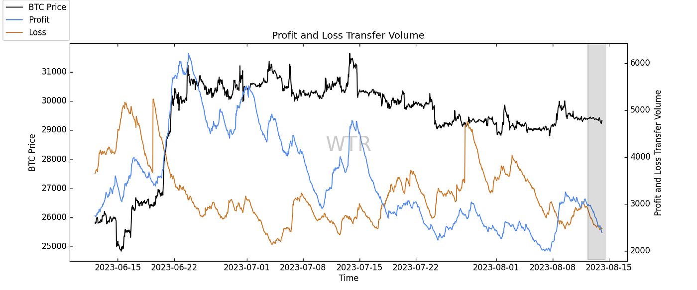 苍山负雪，明烛天南｜WTR 8.14