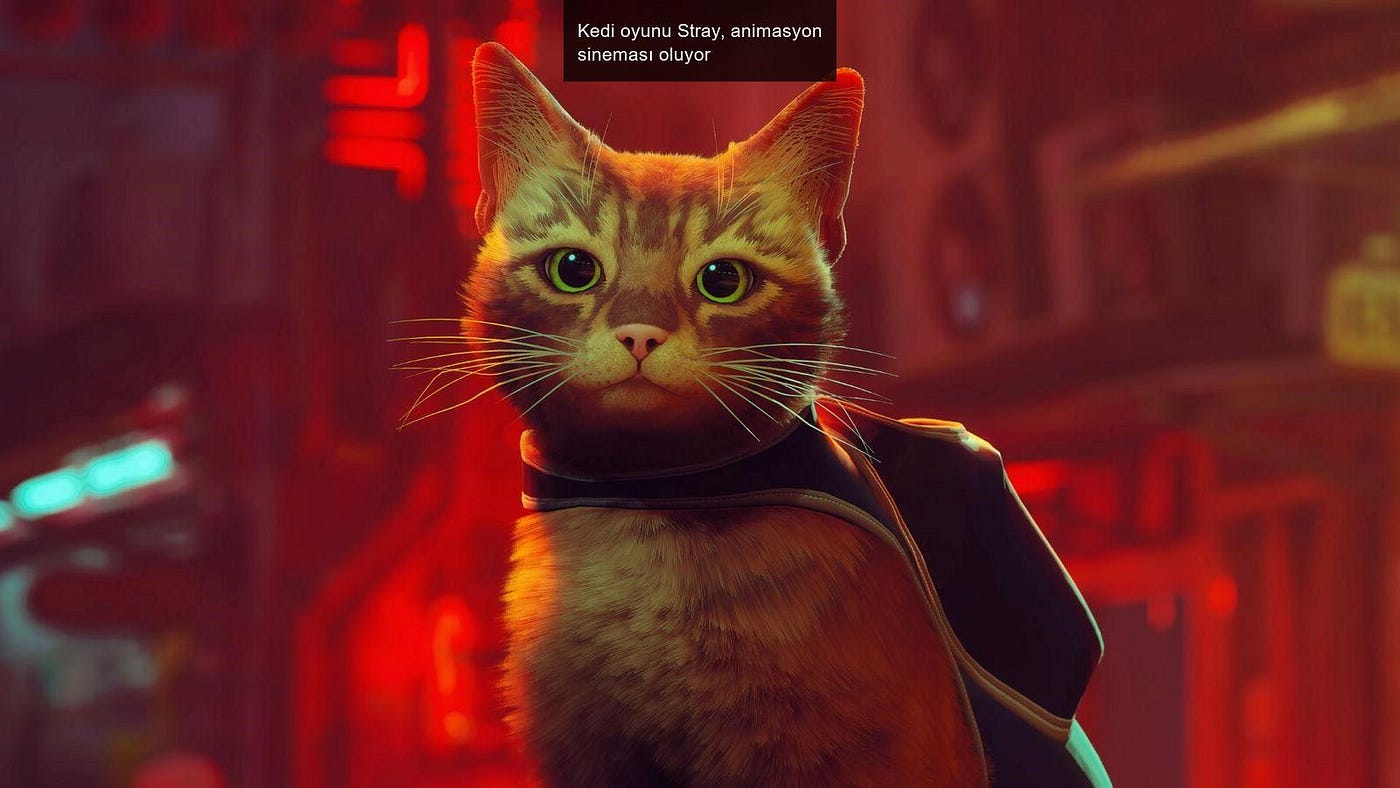 Kedi oyunu Stray, animasyon sineması oluyor