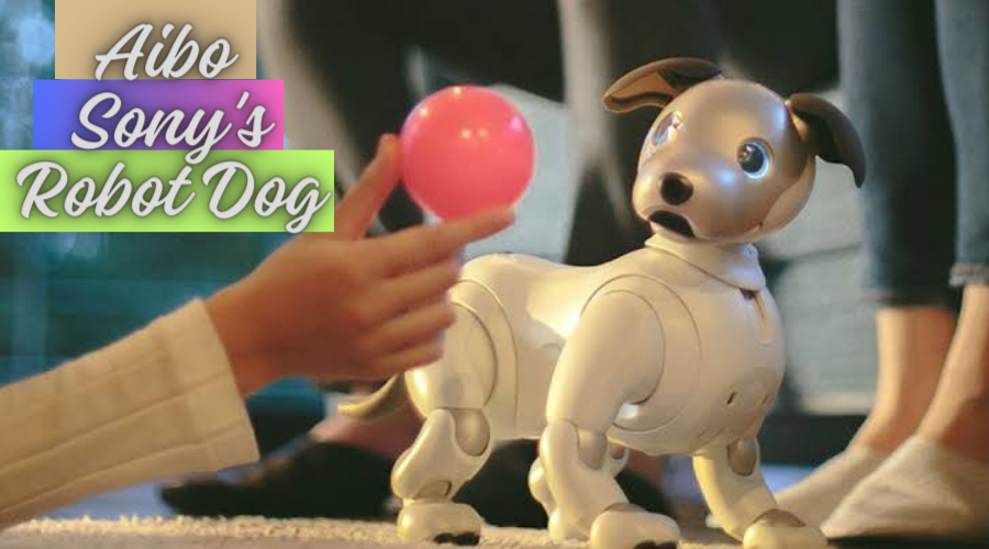 The best best sale robot dog