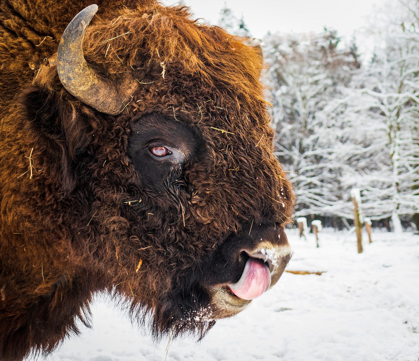 WWF Panda Labs: “Moon Shot” Solutions to Empower and Value Communities as  Global Environmental Stewards | by Project Ark | Medium