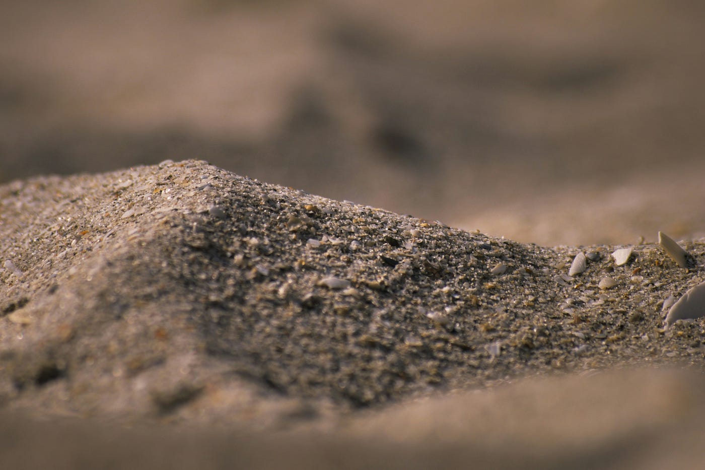 Photo by Dave LZ on Unsplash