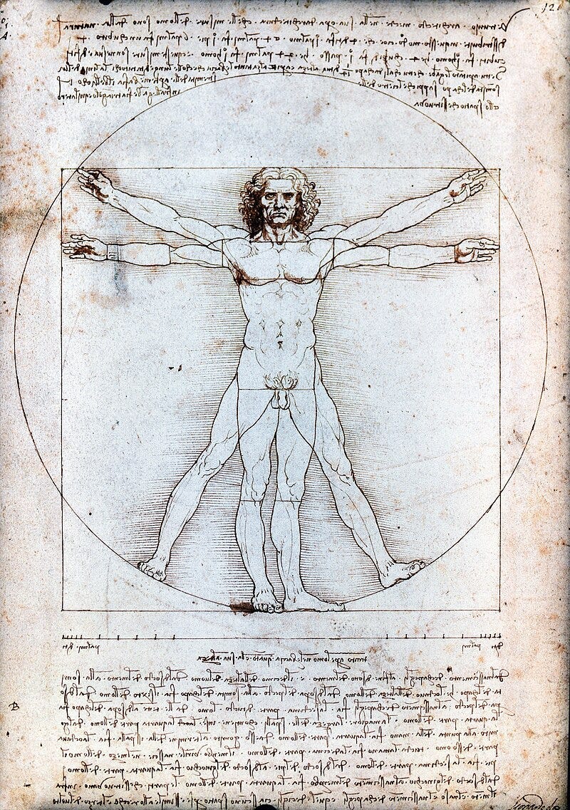 What Does Leonardo Da Vinci Learn by Watching Birds: Inspiring Flight Secrets