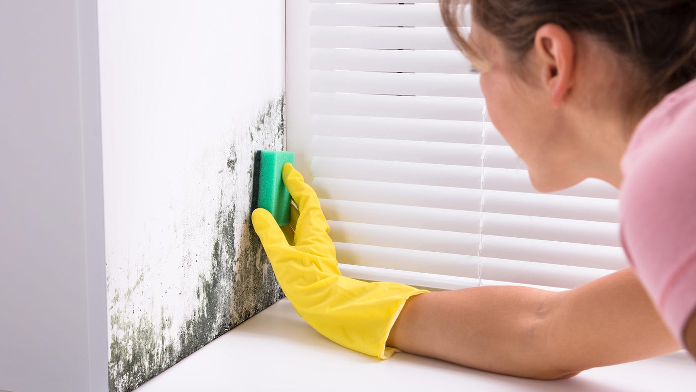 Why Cleaning Mold from Tiles and Grout Feels So Hard