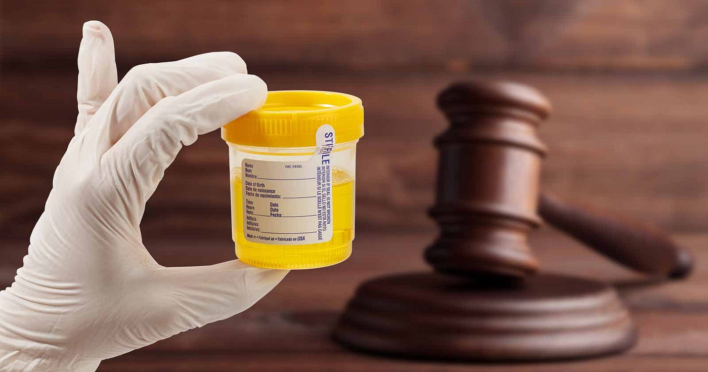 Beyond Punishment: How Drug Testing Helps Probationers Succeed?