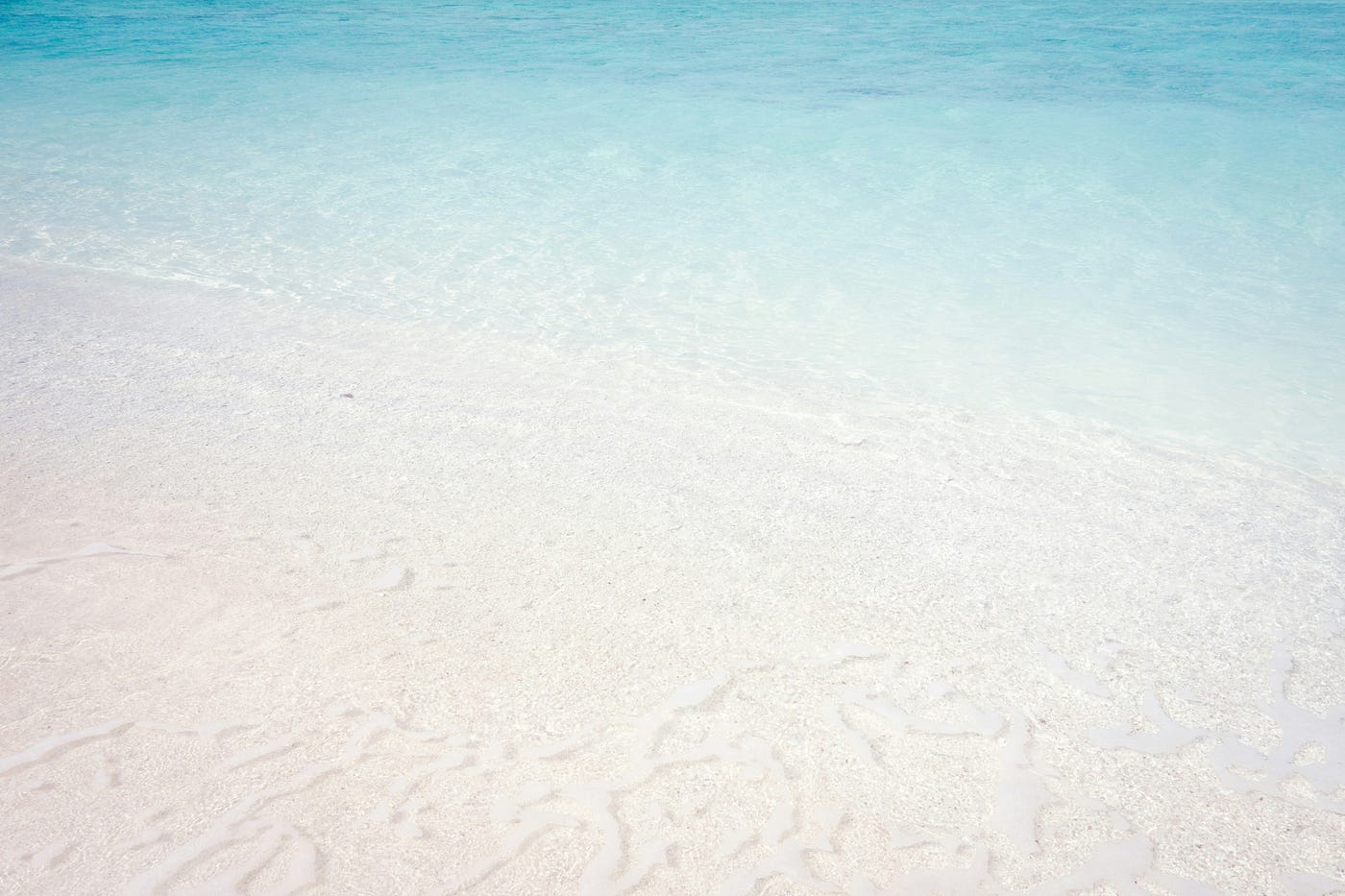 Photo by Masaaki Komori on Unsplash