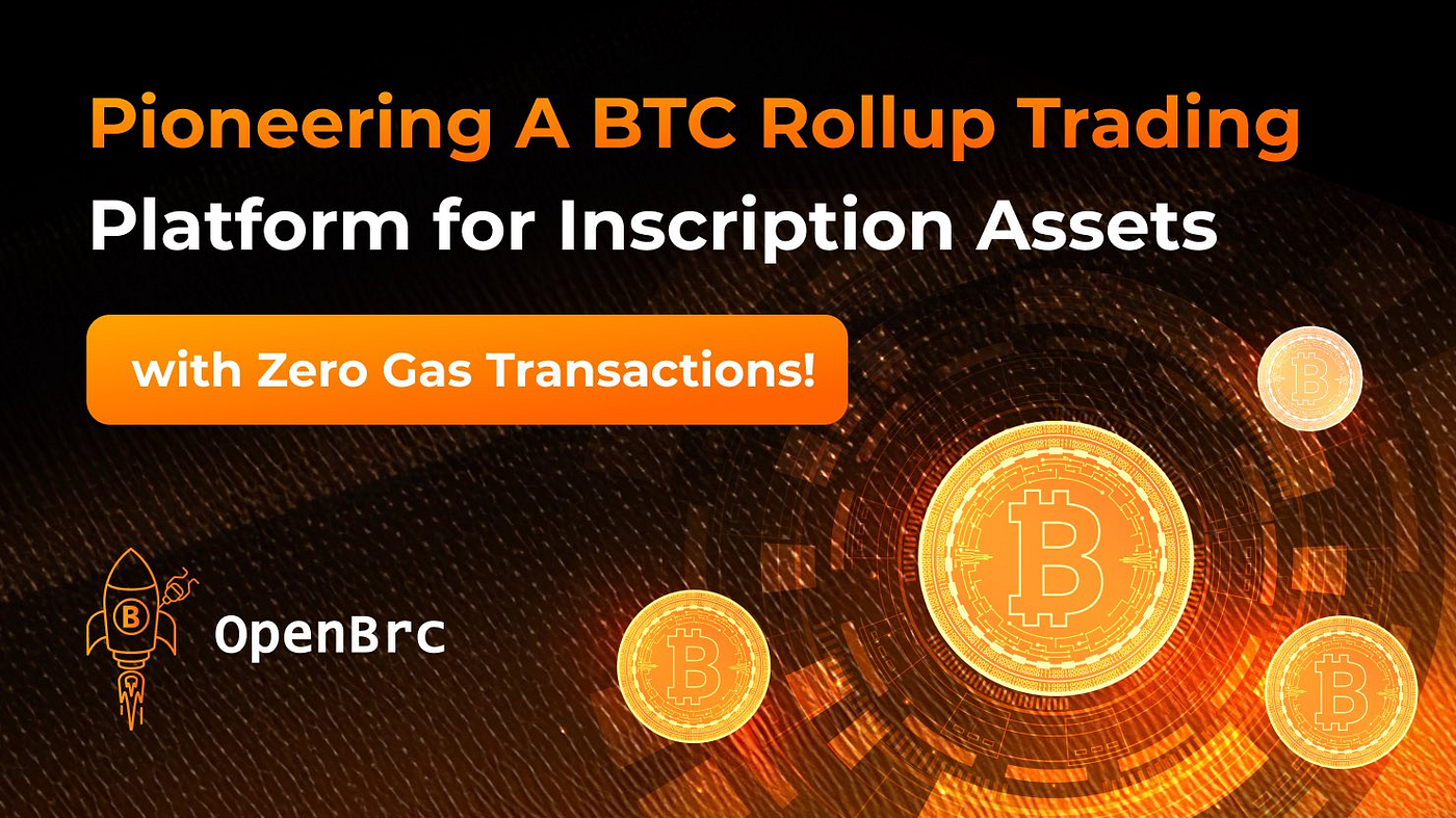 0xLSD Propels Inscription to New Heights: Strategic Partnership between  0xLSD and OpenBRC | by 0xLSD | Medium