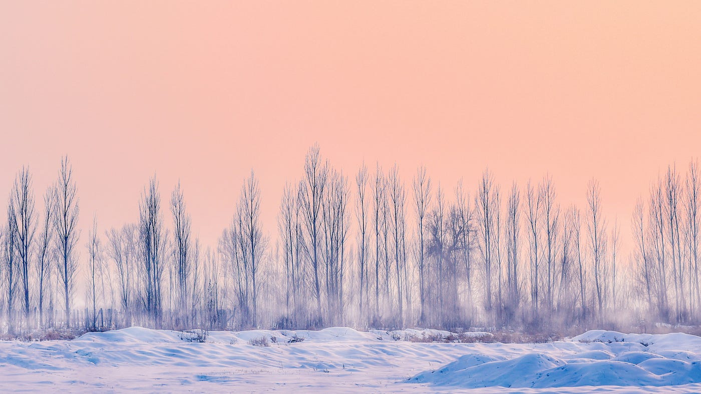 Photo by Yang on Unsplash