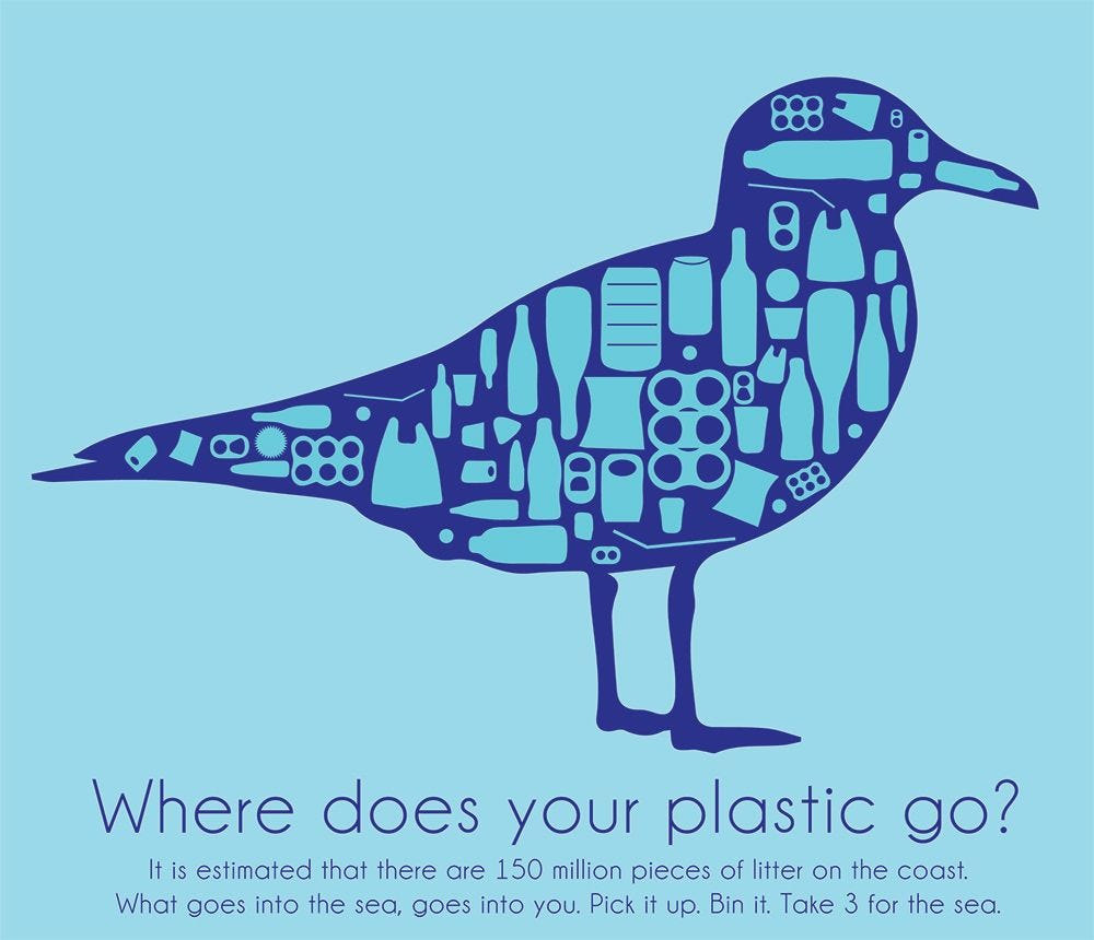 Straws Suck End Plastic Pollution Poster