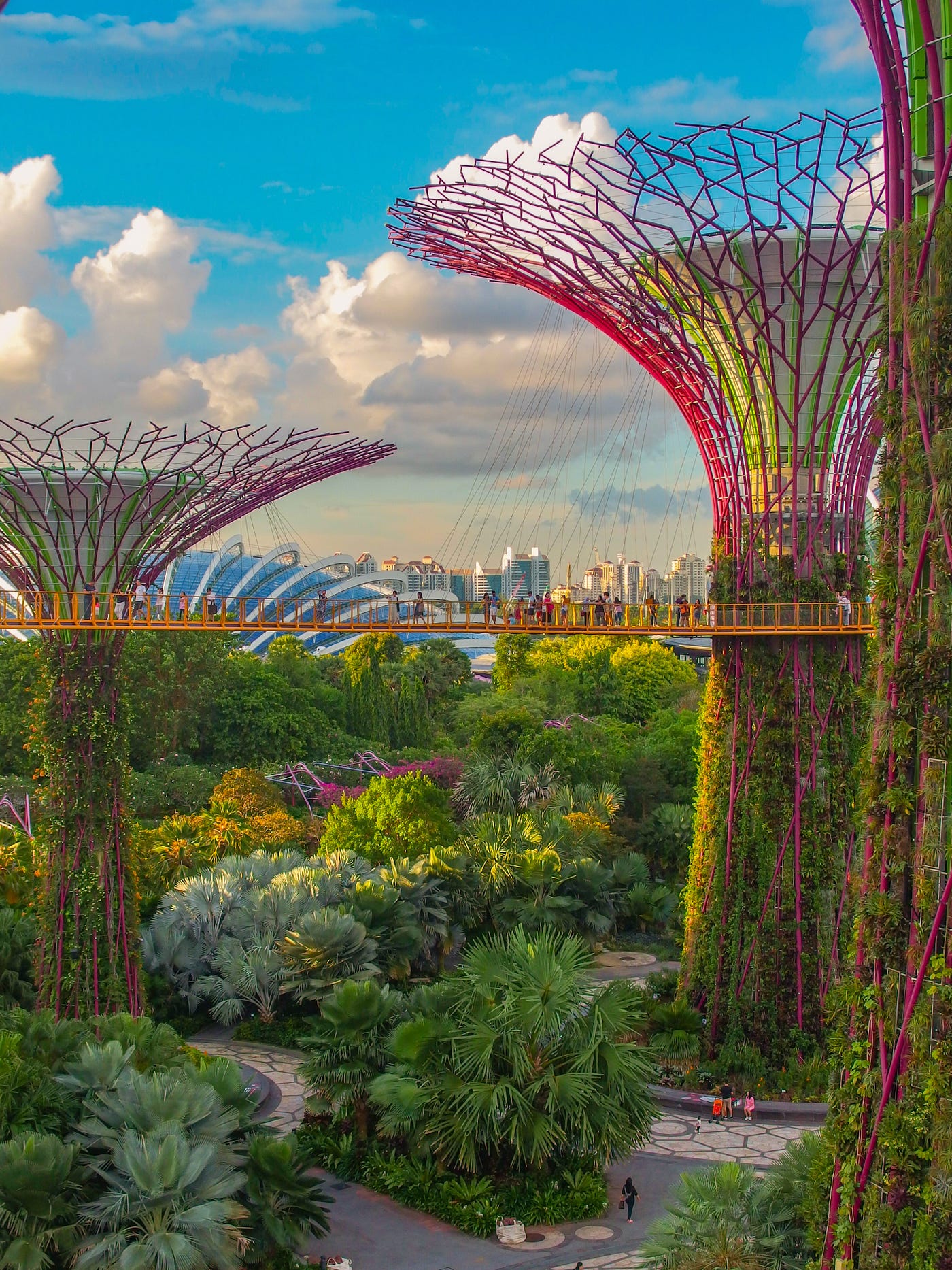 The Singaporean Miracle: From Third World To First In One