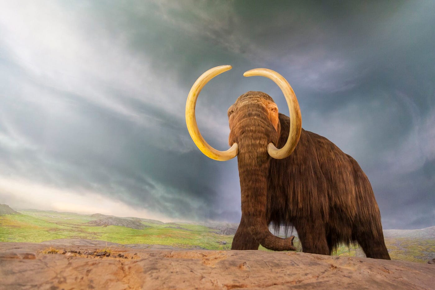 De twitter à Mastodon, comprendre les subtilités