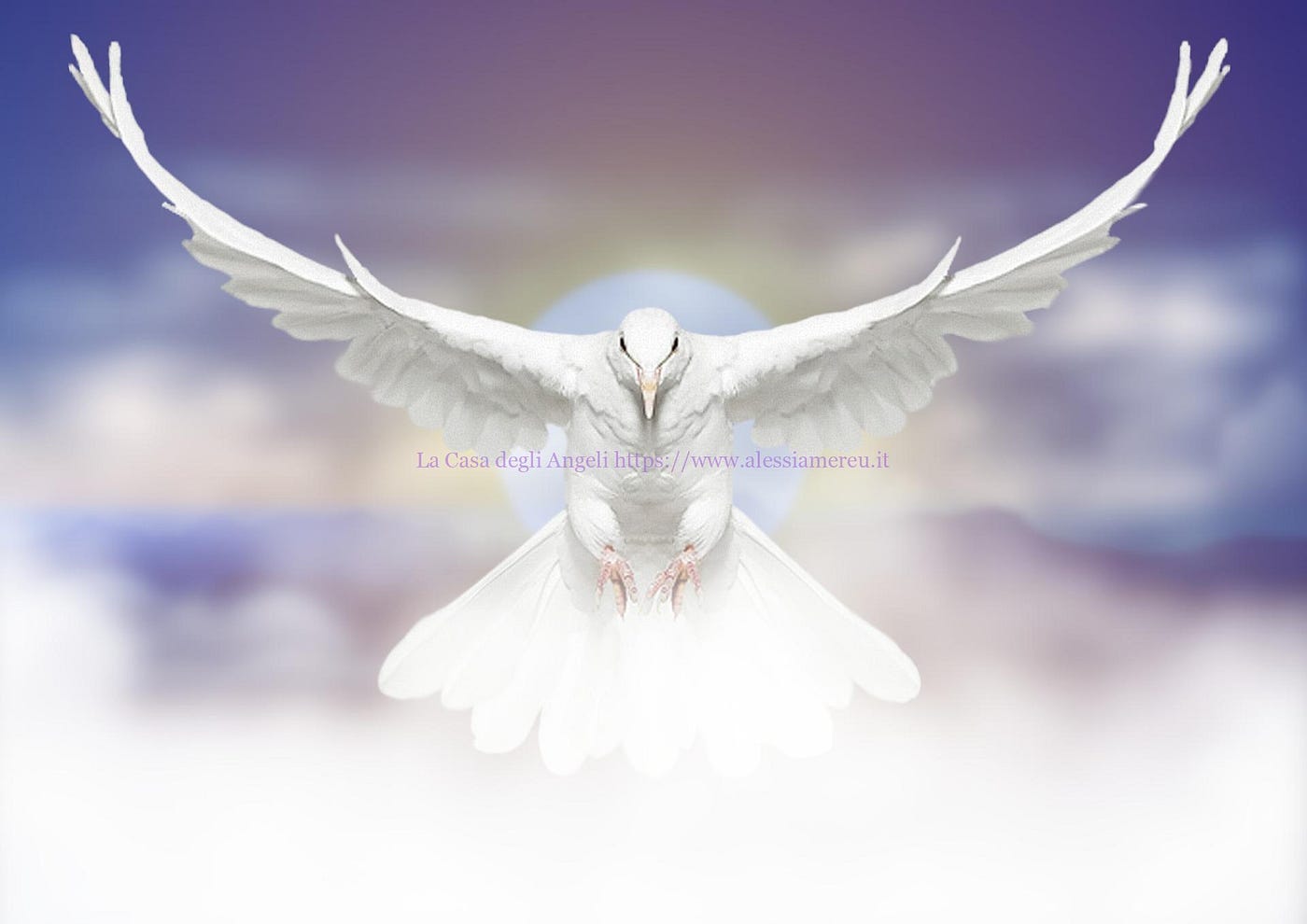 I segnali degli Angeli