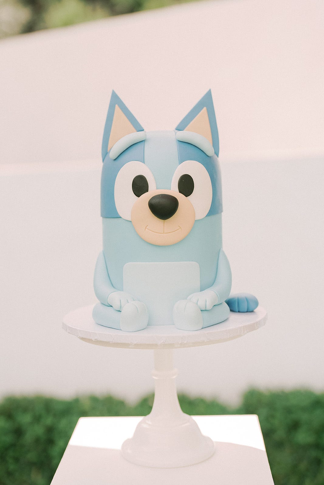 My baby's first birthday party was Bluey themed! He loved it and loves Bluey!  : r/bluey