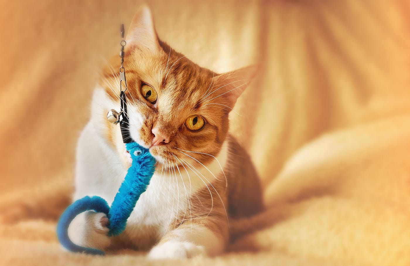 17 Best Cat Toys Your Kitties Will Love in 2023