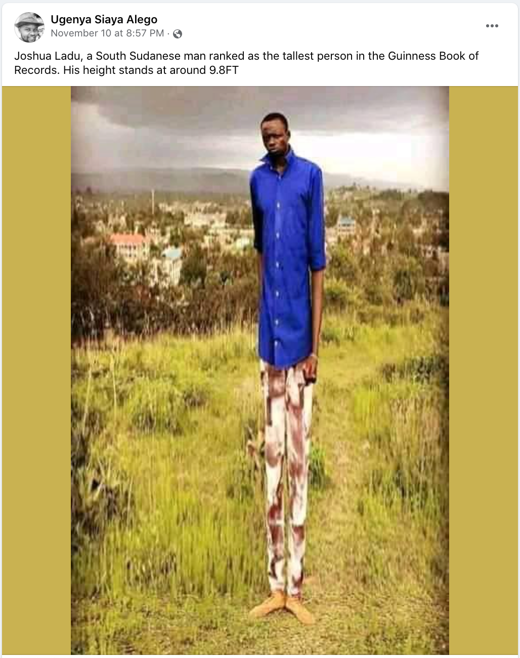 guinness world records tallest man