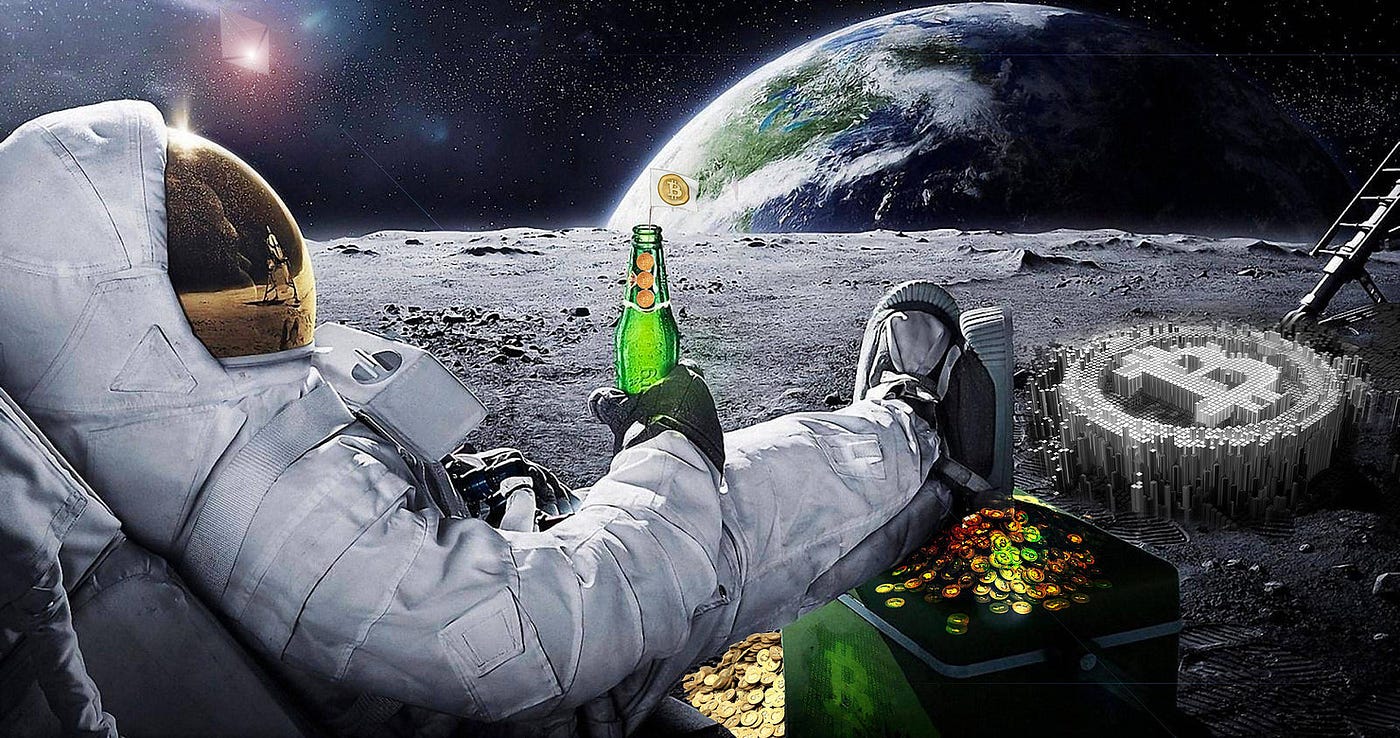 How to Value Bitcoin: Ticket to the Moon or Rat Poison? | by Luke L | The  Crypto | Medium