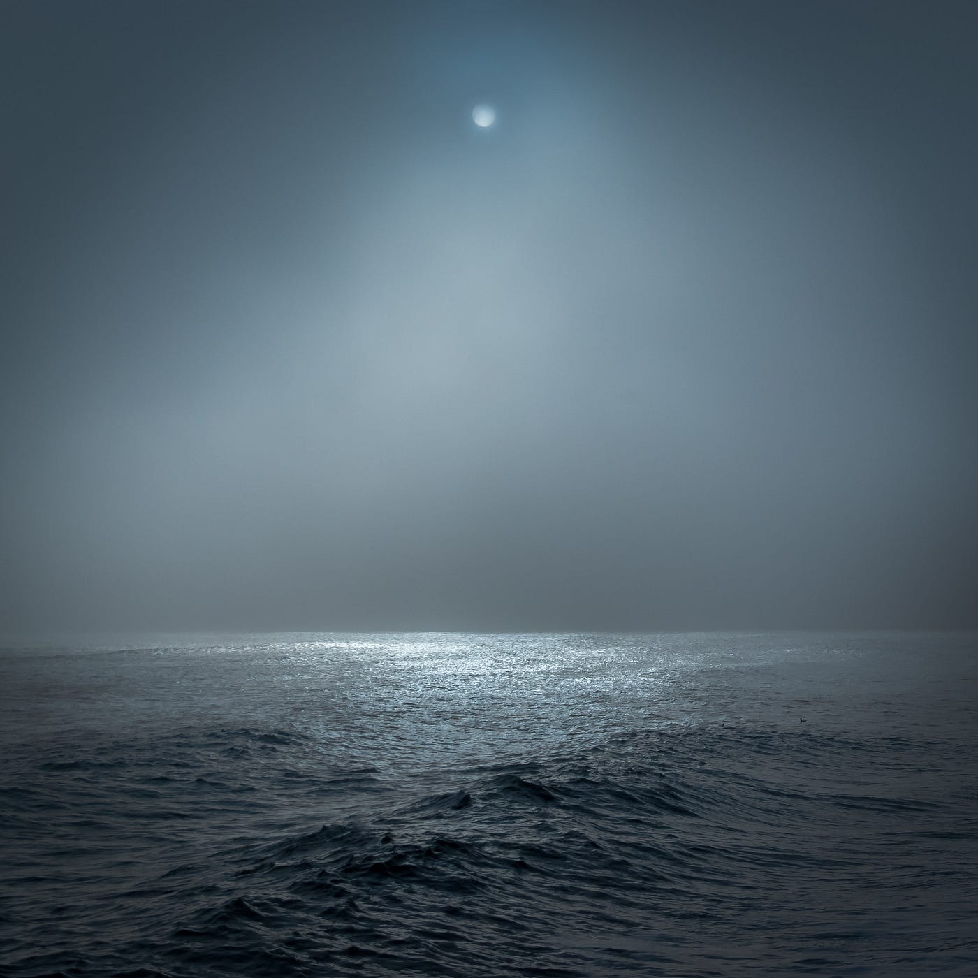 Photo by Conrad Ziebland on Unsplash