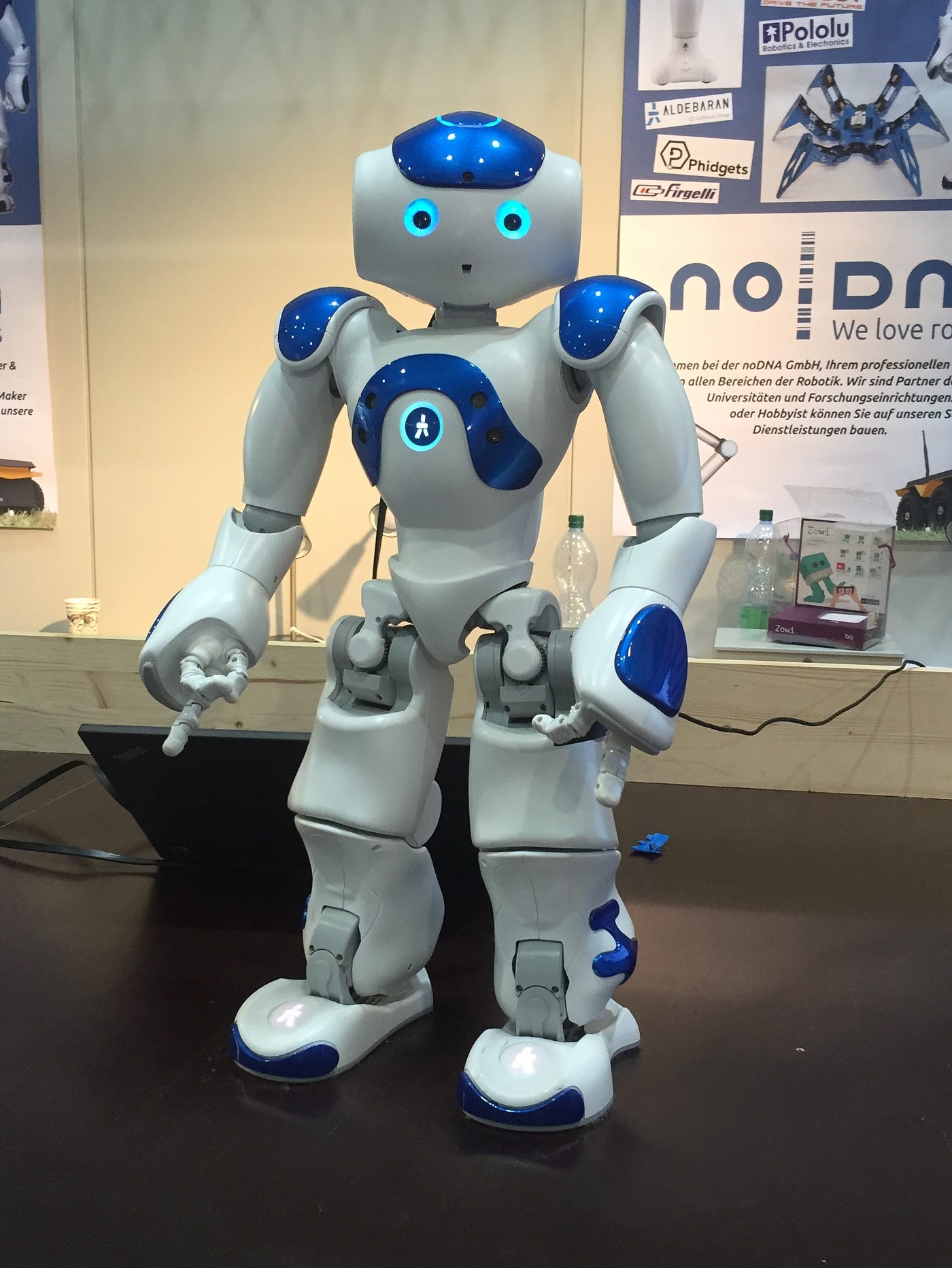 Nao Robot For Business And Educational Purposes | by Gerry Martinez | Medium