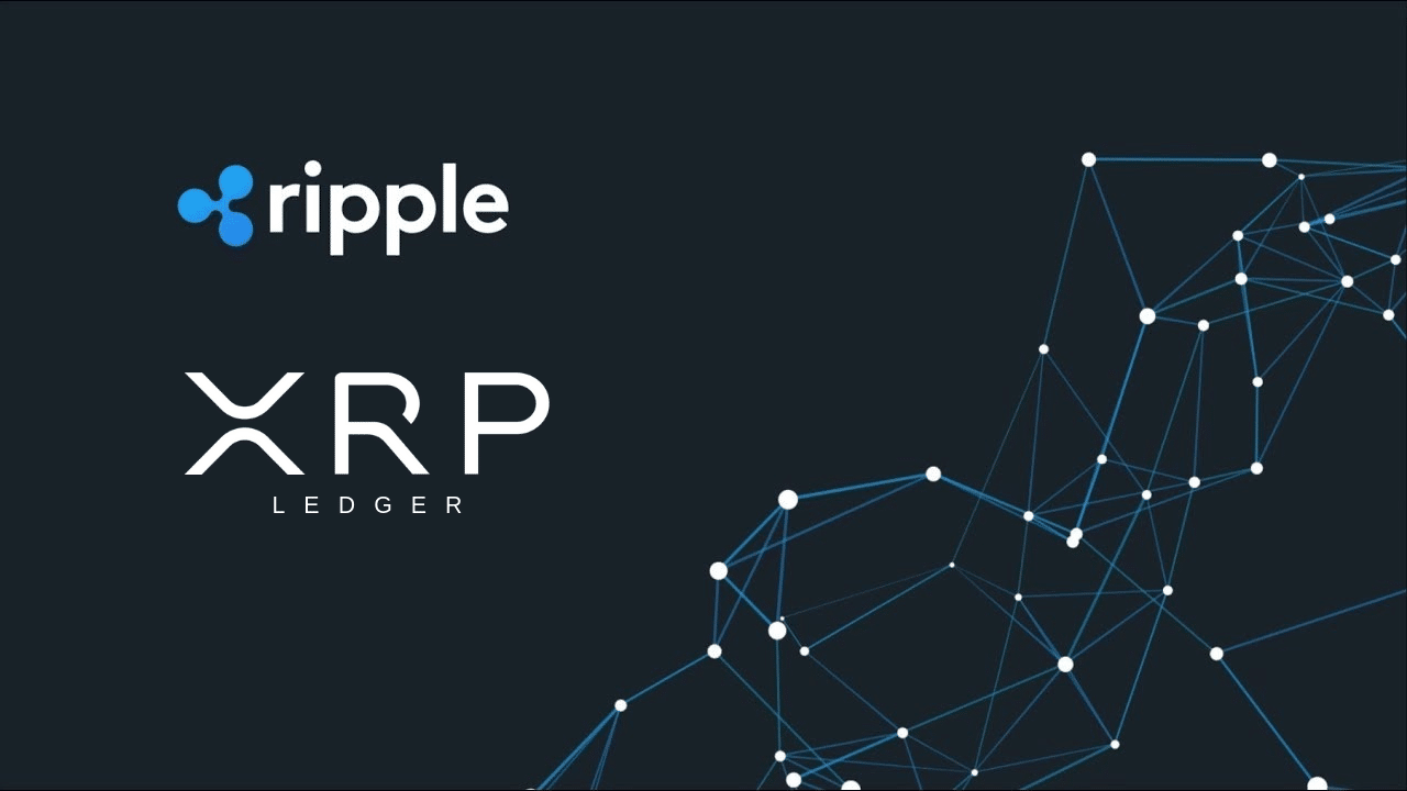 $50 Trillion USD Added to the XRPL by 2025!!! (HUGE XRP News) | by Crypto  Sensei | Medium