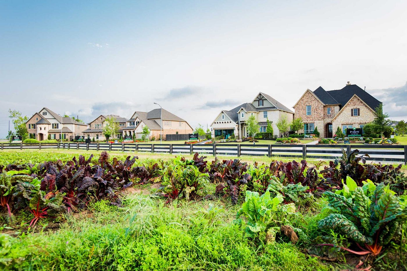 What Should You Know Before Visiting Farms in Houston, Texas?