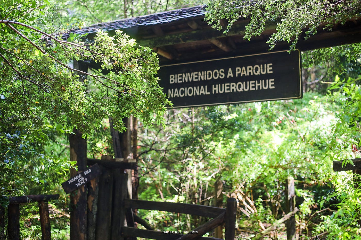 Hiking in Huerquehue National Park in Chile: The Ultimate Adventure Guide |  by Madalyne Loree | Medium