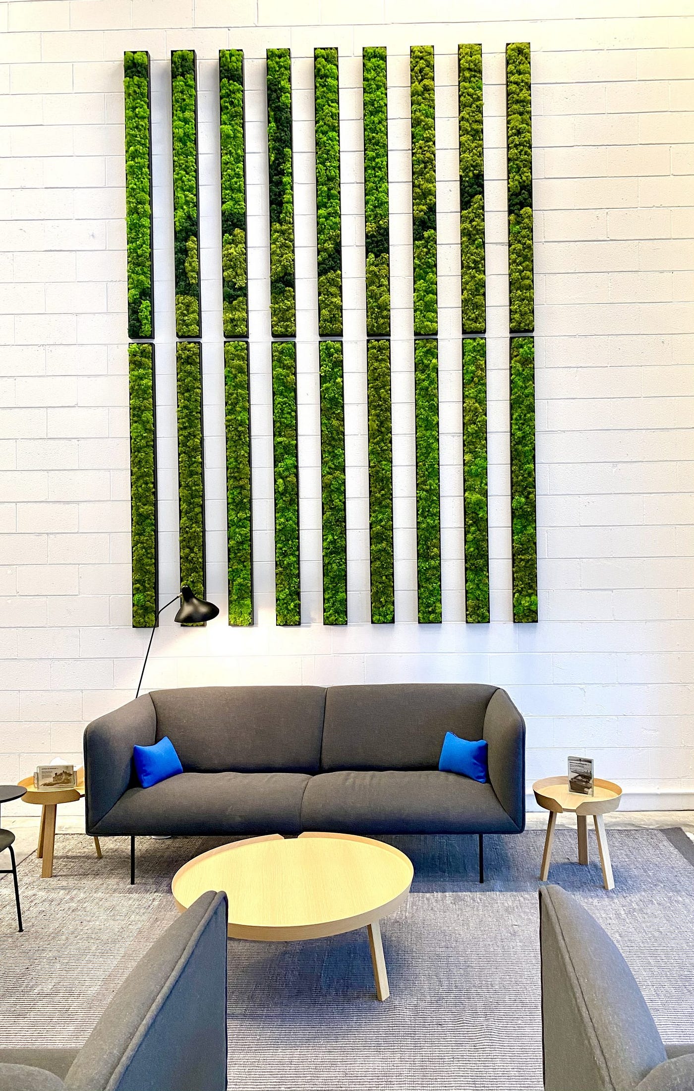 Living Walls vs. Moss Walls: Our Most Frequently Asked Questions — Planted  Design