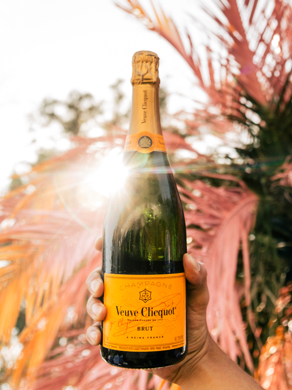 Veuve Clicquot Carnaval Returns To Miami For A Week-Long Series Of Events