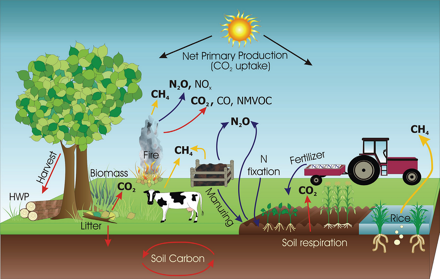 Can food have a zero carbon footprint? | by Emilien Hoet | Medium