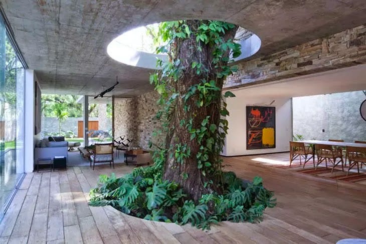 Falling water house: Much needed inspiration for co-existence with ...