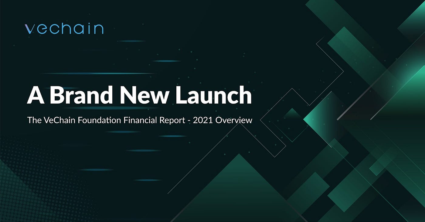 The VeChain Foundation Financial Report — 2021 Overview | by VeChain  Official | Medium