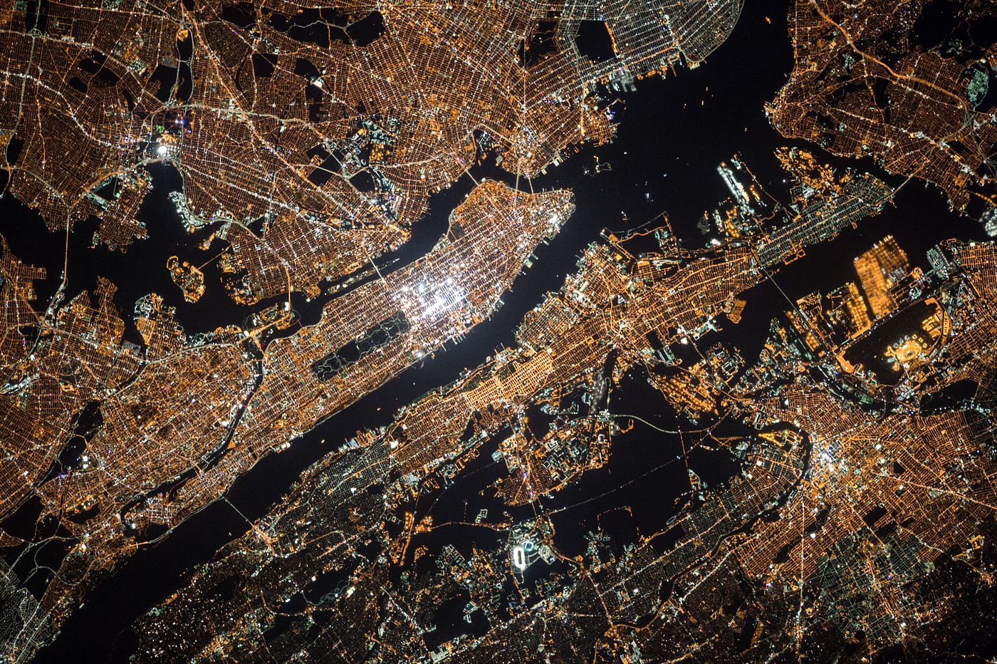 Have a Bird'S Eye View: Unlock Stunning Perspectives Today - Birds Fusion