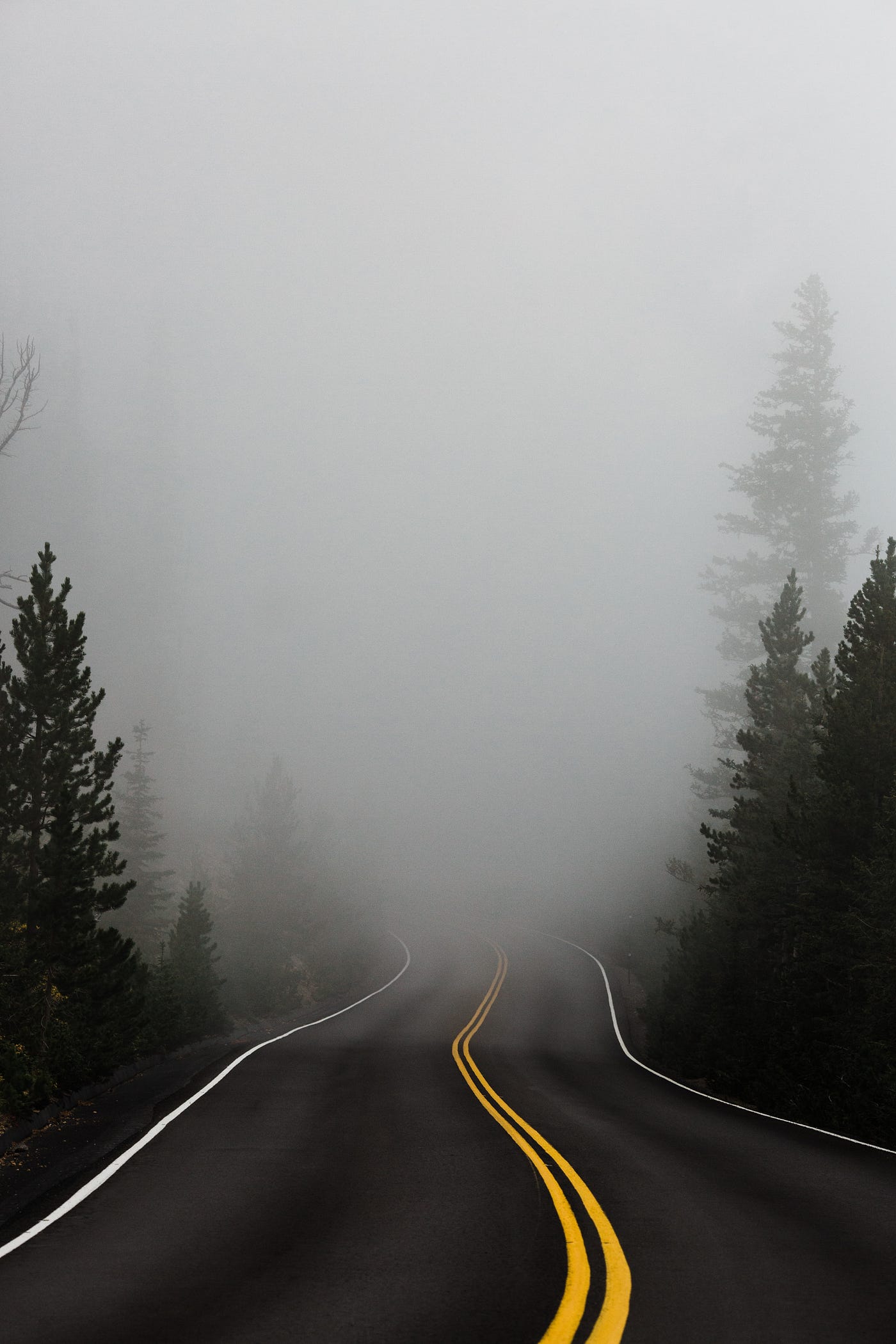 Photo by Katie Moum on Unsplash