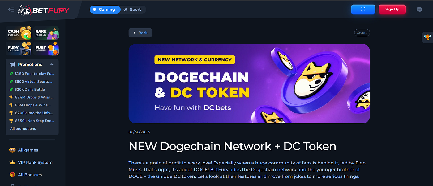 Get the Best Gaming Experience on Dogechain with its Latest BetFury  Integration | by Aniel Joshua | Medium
