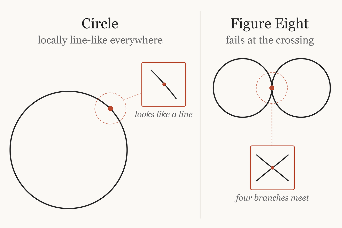A circle is locally line-like at every point. A figure eight fails at the crossing, where the local neighborhood no longer resembles a single line.
