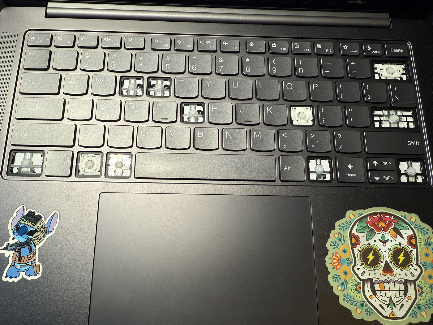 Dog Mishap Leads to DIY Laptop Repair