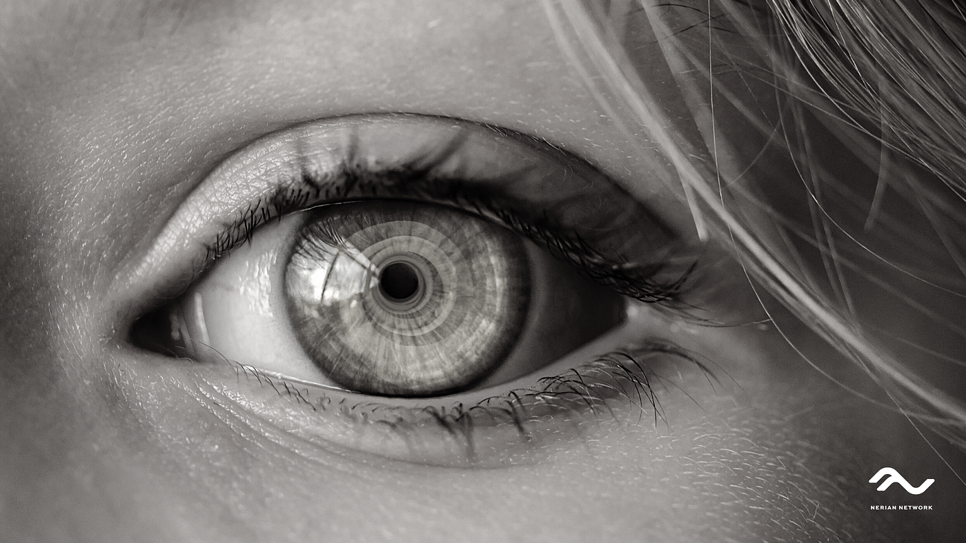 Digital Digest — Biometrics Technologies & Privacy