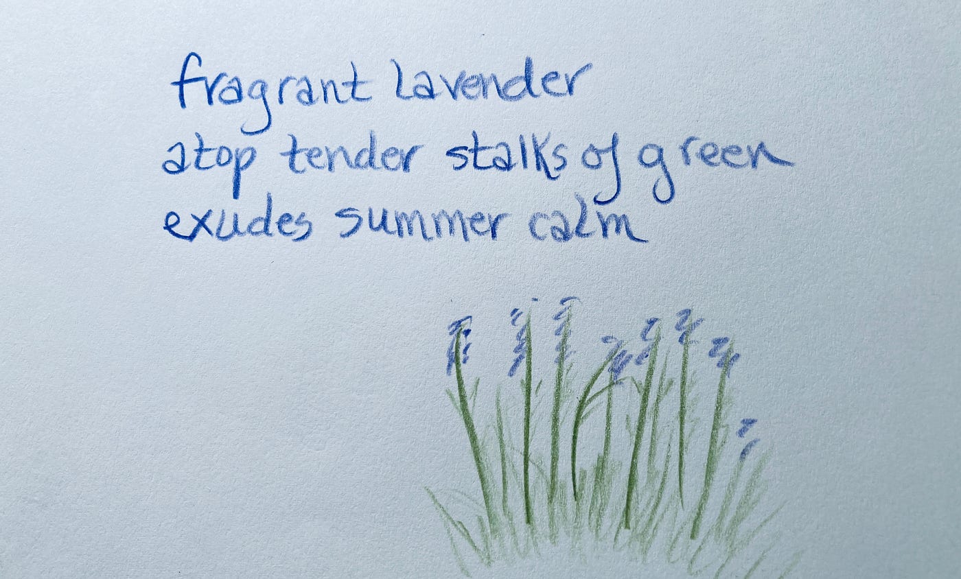 haiku examples about summer