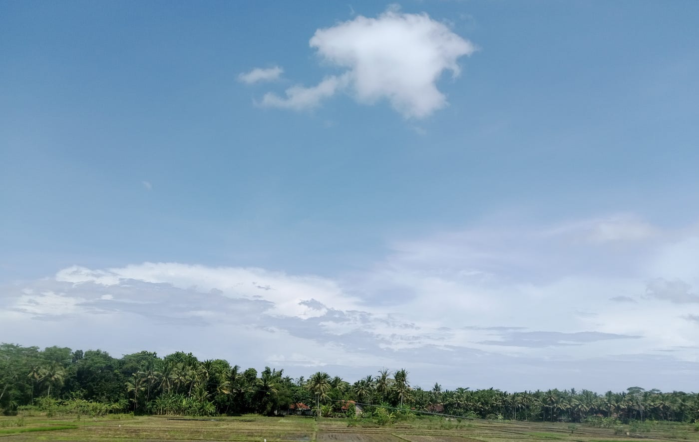 Skies and a horizon.