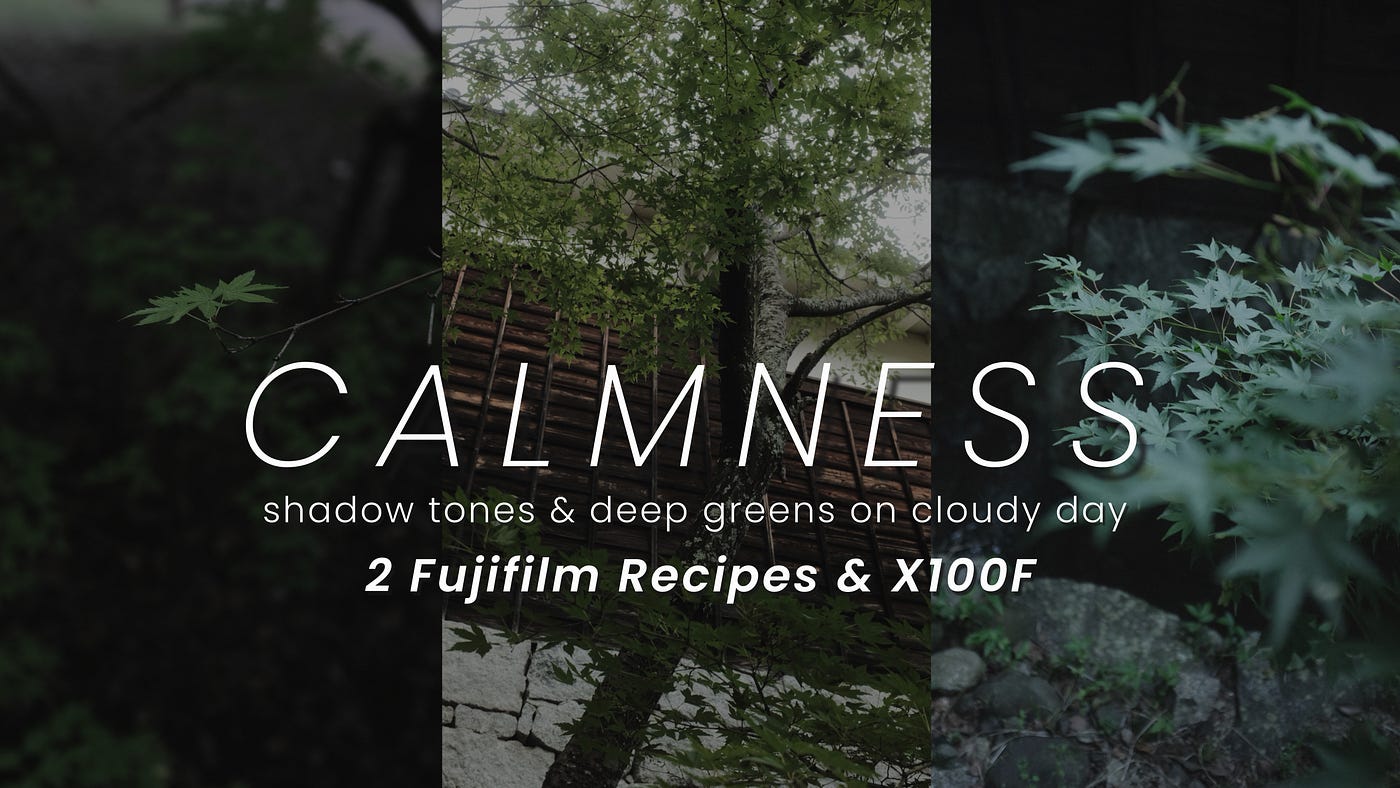 CALMNESS | shadow tones & deep greens on cloudy day | 2 Fujifilm Recipes & X100F