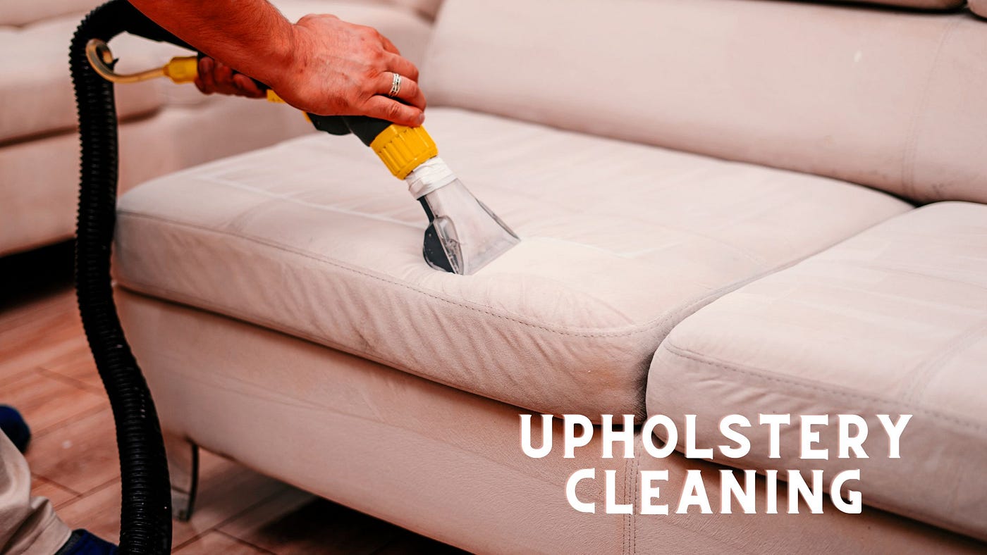 12 Birth Month Flowers Find My Flower, Color, And Meaning, 43 OFF