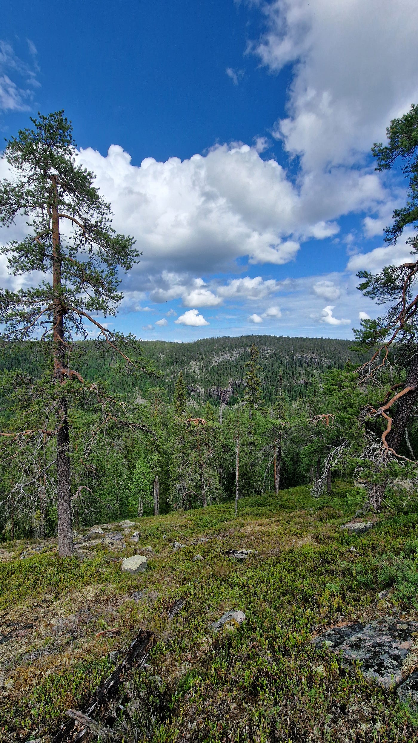 Views over Korouoma Canyon from near the top of Piippukallio